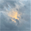 Logo for Sensitive Altruists